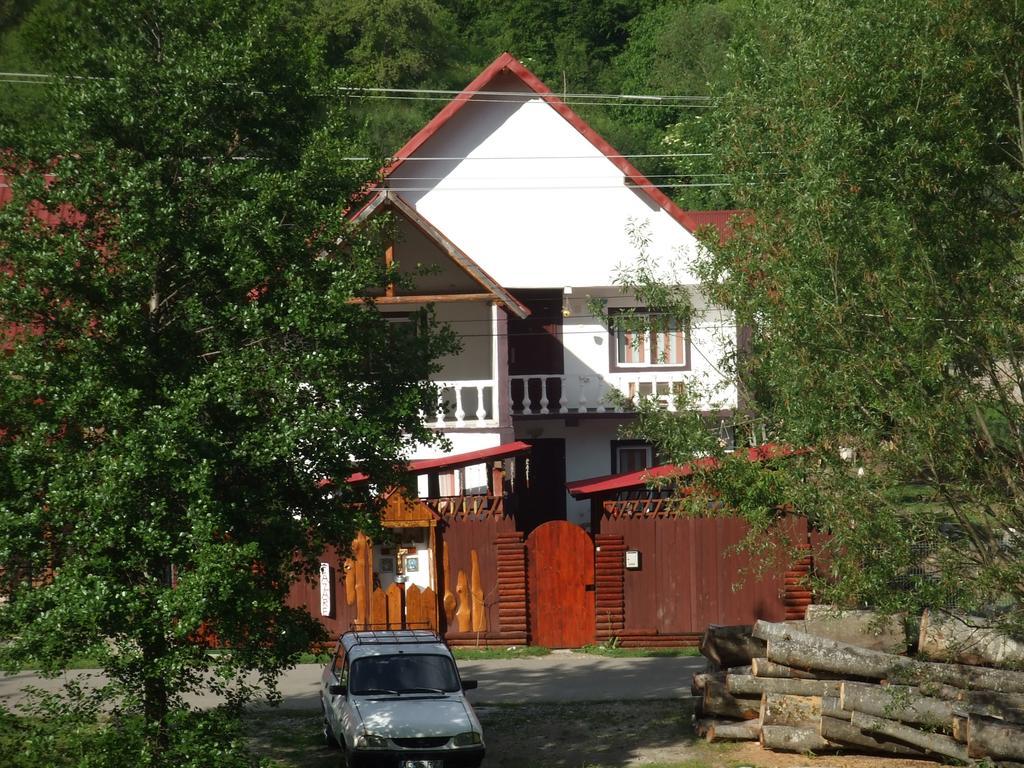 Casa Denisa Vidraru Transfgarasan Hotel Capatineni-Ungureni Exterior photo